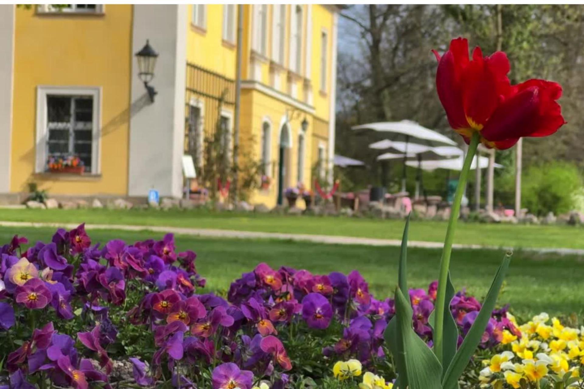 Palac Lomnica - Karkonosze / Riesengebirge Jelenia Góra Extérieur photo