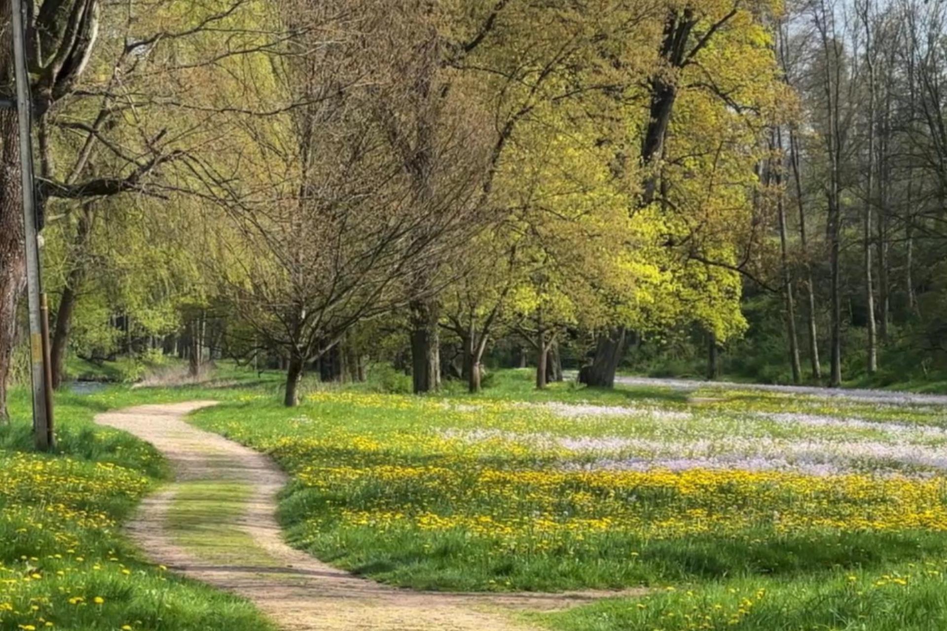 Palac Lomnica - Karkonosze / Riesengebirge Jelenia Góra Extérieur photo